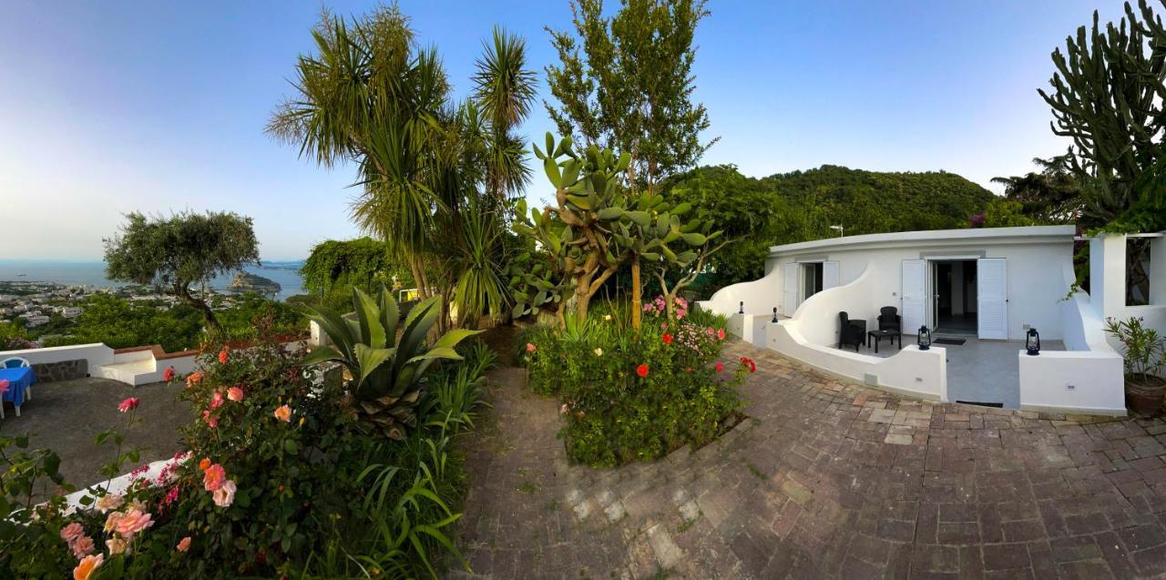 Barracudasuite Isquia Exterior foto